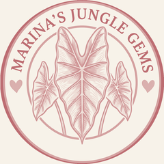 Marina's Jungle Gems